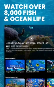 Just Aquarium TV screenshot 7