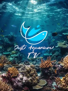 Just Aquarium TV screenshot 8