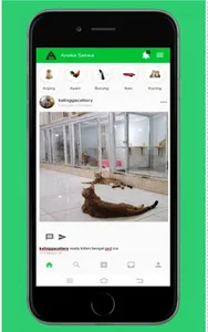 Aneka Satwa - Jual Beli Hewan  screenshot 2