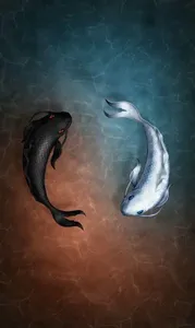 Black Wallpaper screenshot 6