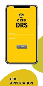 DRS screenshot 1