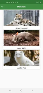 WorldCritters screenshot 1
