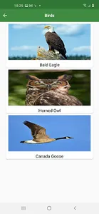 WorldCritters screenshot 2