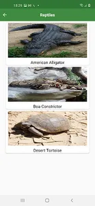 WorldCritters screenshot 3