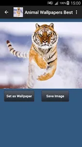 Animal Wallpapers App 🐈🐅🐎 : screenshot 1