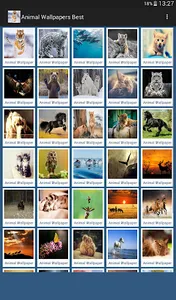 Animal Wallpapers App 🐈🐅🐎 : screenshot 8