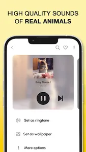 Animal Sounds and Ringtones screenshot 3