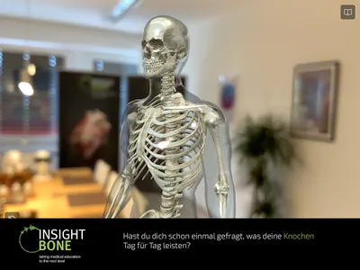 INSIGHT BONE screenshot 14