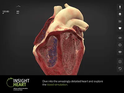 INSIGHT HEART Lite screenshot 15