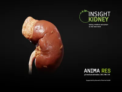 INSIGHT KIDNEY screenshot 16