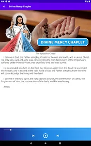 Divine Mercy Chaplet Audio screenshot 13