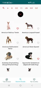 Dog Breed Quiz and Match screenshot 1