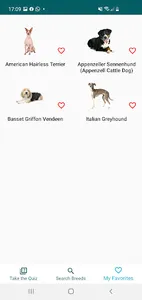 Dog Breed Quiz and Match screenshot 4