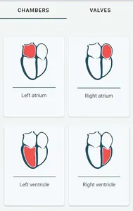 Echocardiography screenshot 0
