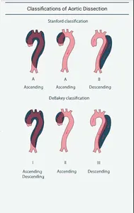Echocardiography screenshot 1