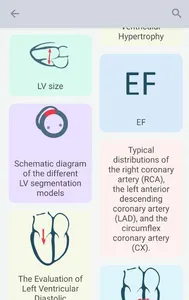 Echocardiography screenshot 10