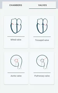 Echocardiography screenshot 11