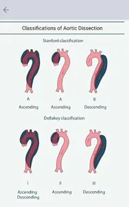 Echocardiography screenshot 13