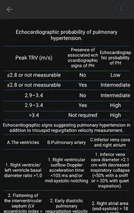 Echocardiography screenshot 3
