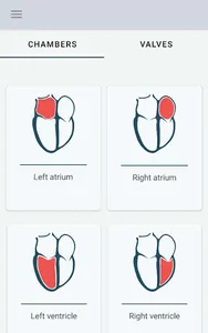 Echocardiography screenshot 8