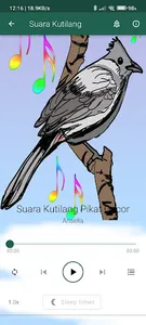 Suara Burung Kutilang Gacor screenshot 2