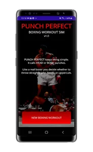 Punch Perfect: Boxing Workouts screenshot 6