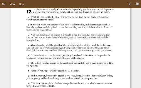 Bible screenshot 4