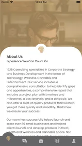1925Consulting screenshot 1