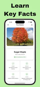 Tree Identifier : Treezy screenshot 1