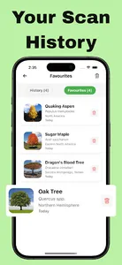 Tree Identifier : Treezy screenshot 2