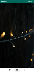 Radio Paloma DE screenshot 0