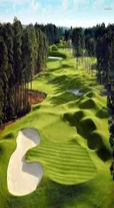 Golf Wallpapers HD screenshot 8