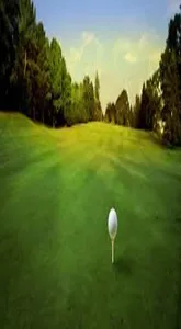 Golf Wallpapers HD screenshot 9