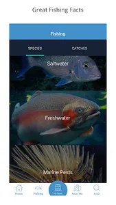 boatiesnz screenshot 1