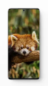 Deshi Wallpaper screenshot 1