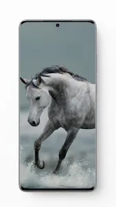 Deshi Wallpaper screenshot 2