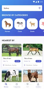Horse N Herds screenshot 1