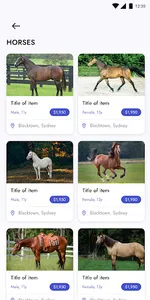 Horse N Herds screenshot 12