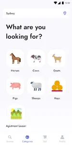 Horse N Herds screenshot 3