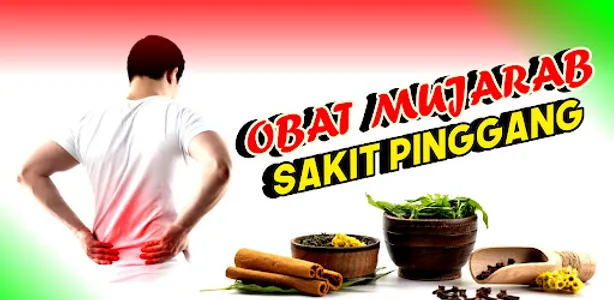 Obat Mujarab Sakit Pinggang screenshot 0