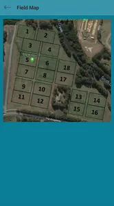 Penrith Oztag screenshot 1