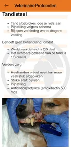 USAR.NL screenshot 8