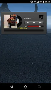 MP3 Panbers screenshot 0