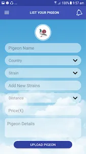 Pigeon Market screenshot 3