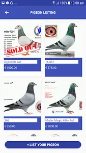 Pigeon Market screenshot 4