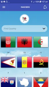 Pigeon Market screenshot 5