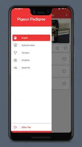 Pigeon Pedigree screenshot 1