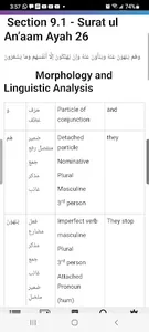Quran Grammar Simple Summary screenshot 5