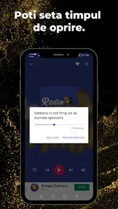 Radio Manele Noi screenshot 2