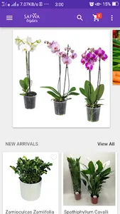 Safwa Farms screenshot 0
